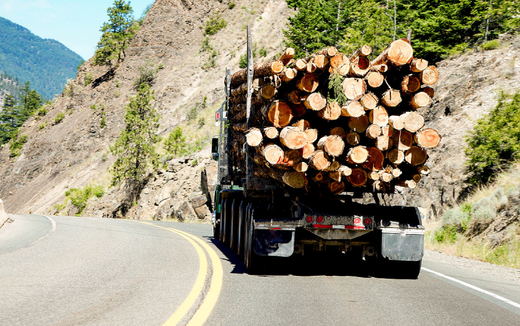 2 sistemas para mejorar el transporte de carga en el sector forestal